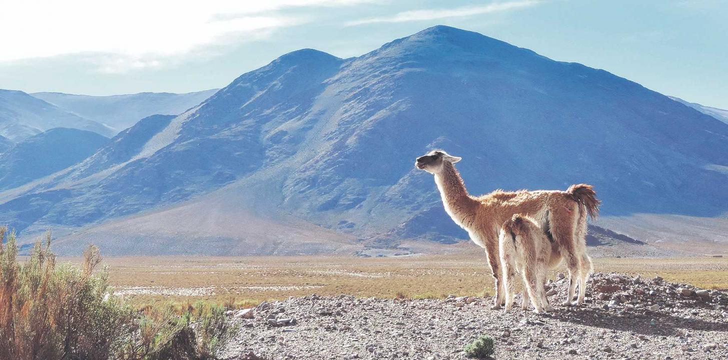 Cinco valientes cruzan los Andes
